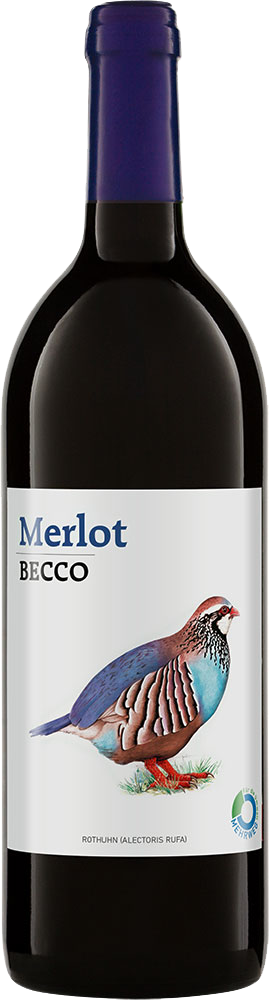 Becco Merlot
