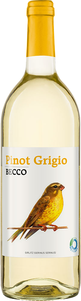 BECCO Pinot Grigio