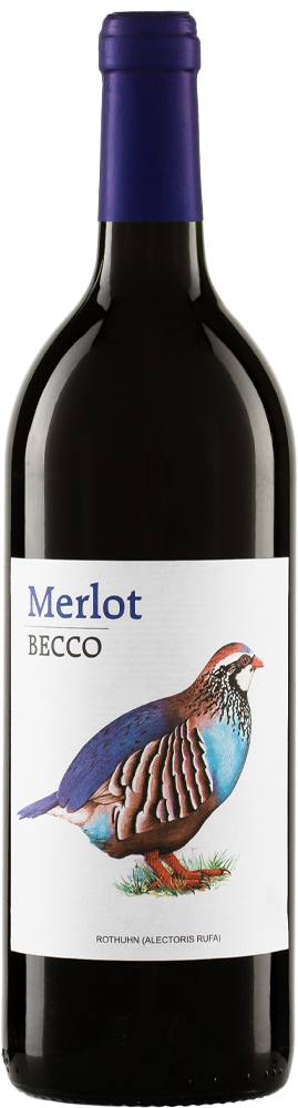 Becco Merlot