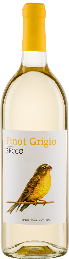 Becco Pinot Grigio