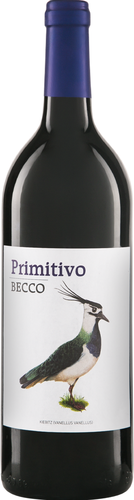 Becco Primitivo