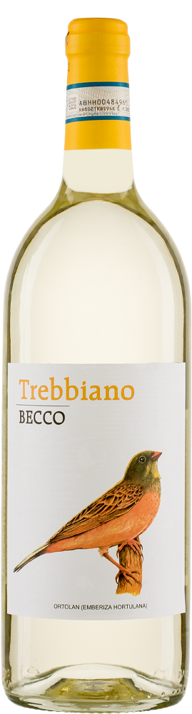 Becco Trebbiano